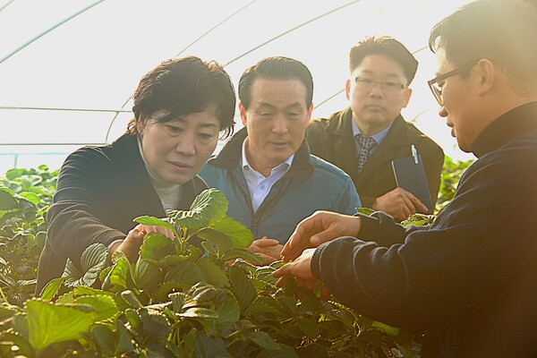 스마트팜 도입 농장 현장을 방문한 송미령 농식품부장관(사진 왼쪽)과 백성현 논산시장(사진 왼쪽에서 두번째) ⓒ